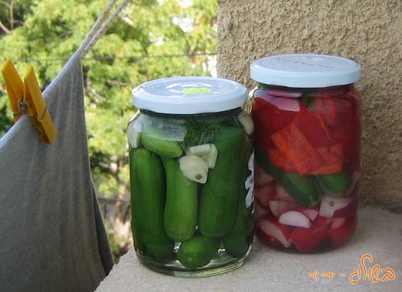 חמוצים נחים בשמש
