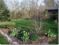 spring 08 017