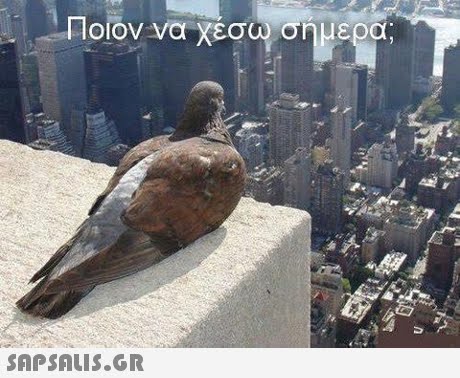 ι ιοιον να χεσω σημερα; 