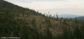 scarisoara-2.jpg