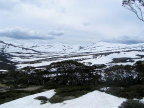 snowy mountains