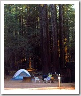 Redwood Camping - photo by Light. ©2002-2008 Bonnee Klein Gilligan. All rights reserved.