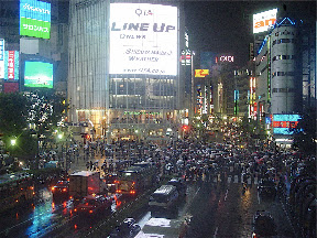 DSC00005.jpg