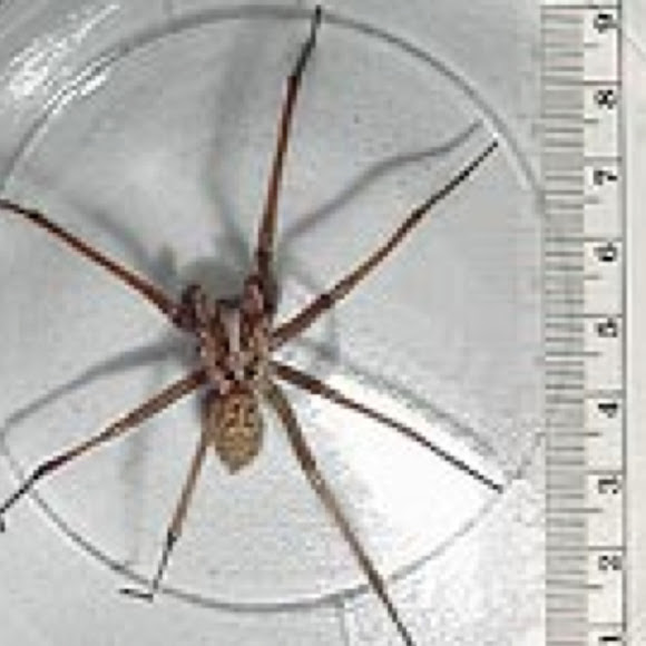 Spotting Image 1