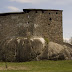 CRW_7166.jpg