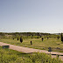 CRW_7400.jpg
