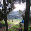 MonkeysGarden's Gonsbachtal Shady Woodland garden