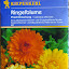 Calendula Seeds