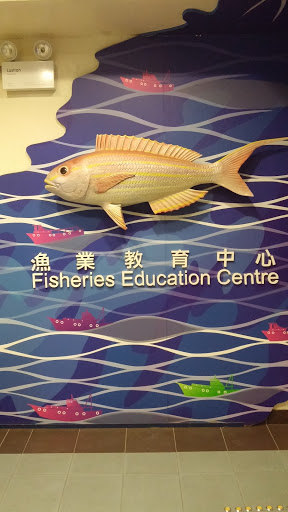 漁業教育中心 紅衫魚