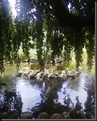 Photo0007