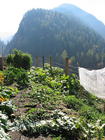 View of Toe de Bodie Mountain and garden from yard