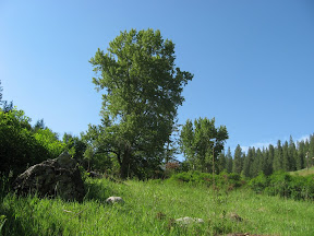 IMG_1730.jpg