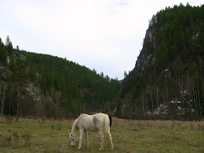 IMG_1121.jpg