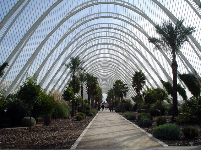 La Ciutat de les Artes i les Cincies: un complejo integrado por varios edificios - L'Hemisfric, El Museu de les Cincies Prncipe Felipe, L'Umbracle, L'Oceanogrfic, Palau de les Arts Reina Sofia DSC04344