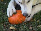 IMG_3982.JPG