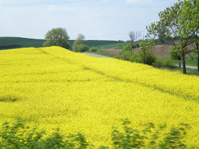 Northern Poland at spring- beautiful country side.