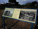 Historic Te Anau Information Board