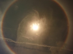 [P429133112.jpg]