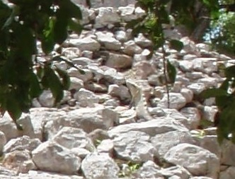 [P707375210.jpg]