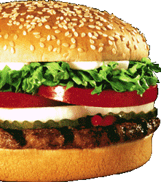 [3.gif]