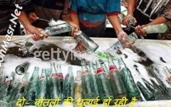 ध्लाई