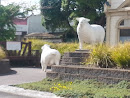 Sheep Statues