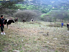 80 Hectareas En Malacatos