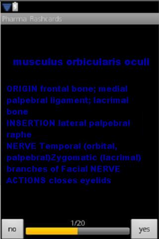 Skeletal muscle Flash Cards