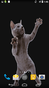 How to download Dancing Cat Live Wallpaper patch 1.0 apk for bluestacks