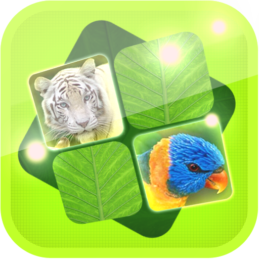 Jungle Memory Game LOGO-APP點子