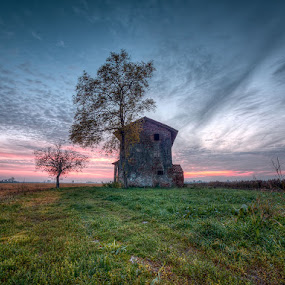 Musile Di Piave - Old House - Yellow And Green Grass by Fabrizio Vendramin - Landscapes Prairies, Meadows & Fields ( old house, blue sky, tree, red sky, grass, sunset, veneto, cloud, musile di piave, italy )