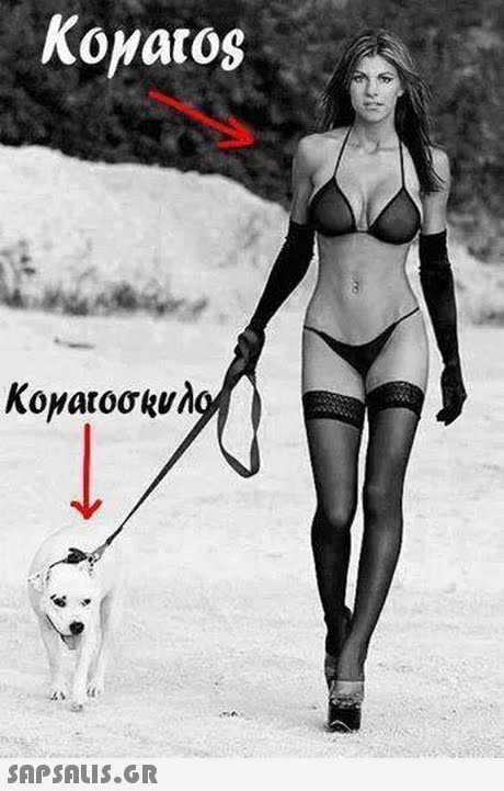 Koyatos 