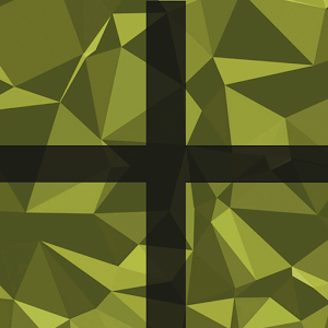 Find The Pair.apk 1.1