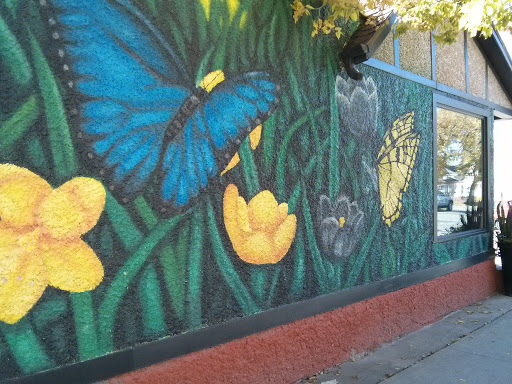 Butterfly Murals