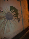 Karaman Graffiti