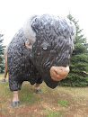 SF Giant Buffalo