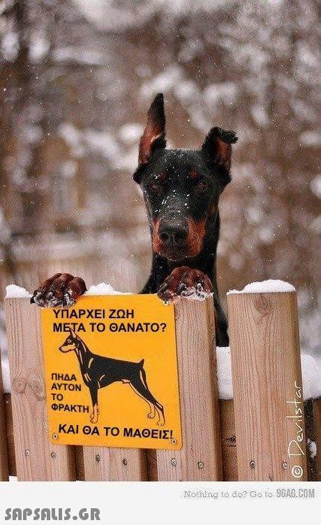 ΥΠΑΡΧΕΙ ΖΩΗ ΜΕΤΑ ΤΟ ΘΑΝΑΤΟ? ΠΗΔΑ ΑΥΤΟΝ TO ΦΡΑΚΤΗ ΚΑΙ ΘΑ ΤΟ ΜΑΘΕΙΣ! Nothing to dor Go to 98AG.COM 