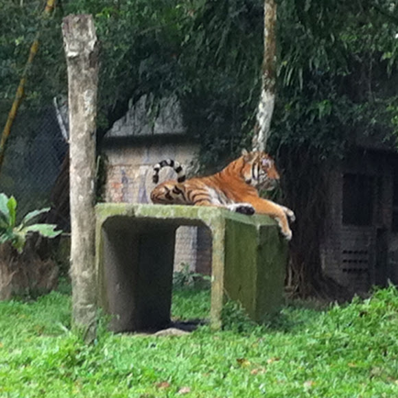 Spotting Image 1