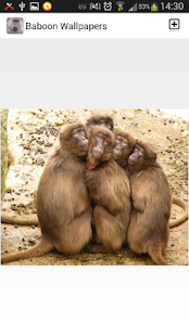 How to download Baboon Wallpapers 2.0 apk for laptop