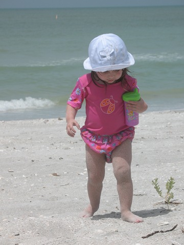 [April-2008-Sanibel 081[2].jpg]