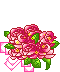 [04[4].gif]