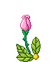 [102[4].gif]