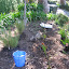 Hartinthehills's Native garden