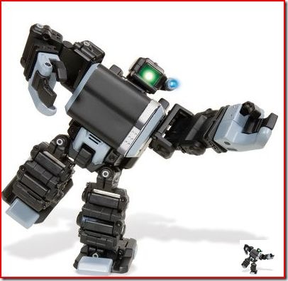 Robot