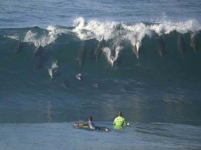 [Compañeros de Surf[3].jpg]
