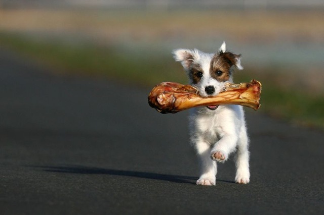[A comer[3].jpg]
