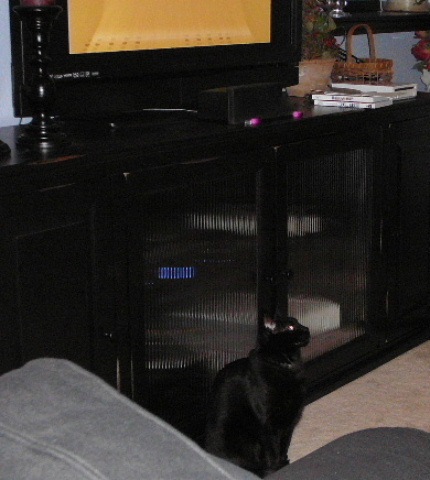 [Oliver watching bowling[2].jpg]