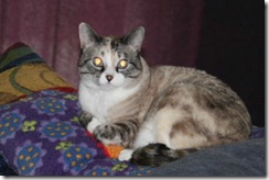 Princess Annie