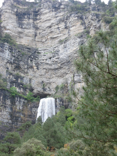 DSC00367.JPG