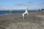 IMG_0623.JPG